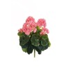 Lot de 12 - Buisson artificiel de géraniums X8, 36 cm - rose vif 