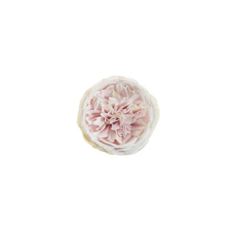 Lot de 384 - Tête artificielle de rose Austin, D. 10 cm - lilas clair 