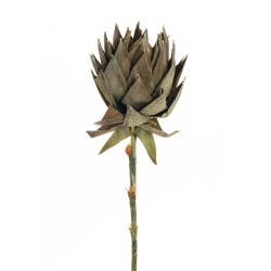 Lot de 4 - Protea géant artificiel aspect sec, 107 cm - marron 