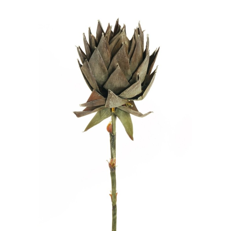Lot de 4 - Protea géant artificiel aspect sec, 107 cm - marron 