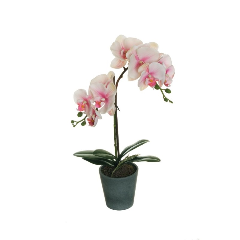 Lot de 6 - Plante artificielle moyenne d'orchidée phalaenopsis toucher réel en pot, 48 cm - crème rose fuchsia 