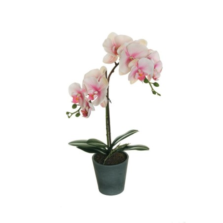Lot de 6 - Plante artificielle moyenne d'orchidée phalaenopsis toucher réel en pot, 48 cm - crème rose fuchsia 