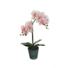 Lot de 6 - Plante artificielle moyenne d'orchidée phalaenopsis toucher réel en pot, 48 cm - crème rose fuchsia 