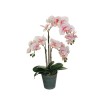 Lot de 4 - Grande plante artificielle d'orchidée phalaenopsis toucher réel en pot, 60 cm - crème rose fuchsia 