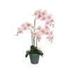 Plante géante artificielle d'orchidée phalaenopsis toucher réel en pot, 78 cm - crème rose fuchsia 