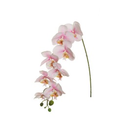 Lot de 12 - Tige suspendue artificielle d'orchidée phalaenopsis toucher réel X8, 94 cm - rose crème 