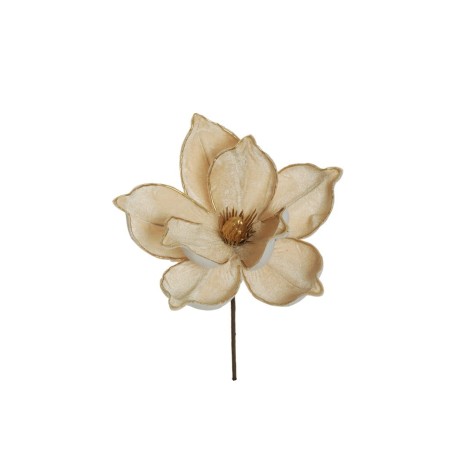 Lot de 24 - Pic artificiel double magnolia velours bordure or, 30 cm - champagne 