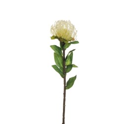 Lot de 24 - Tige artificielle de cordifolium X9, 72 cm - crème jaune clair 