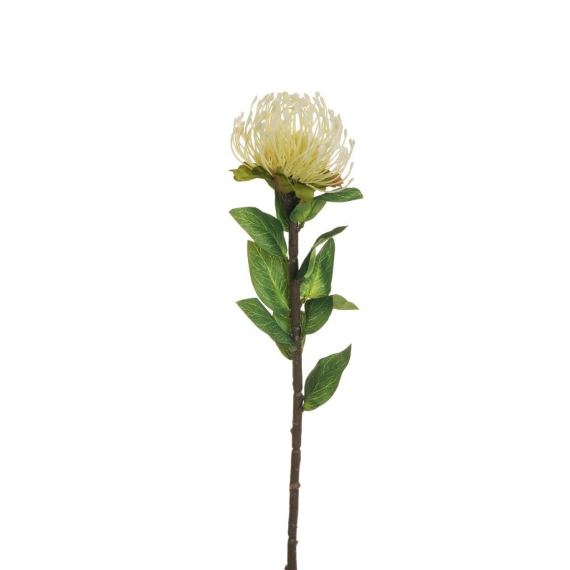 Lot de 24 - Tige artificielle de cordifolium X9, 72 cm - crème jaune clair 