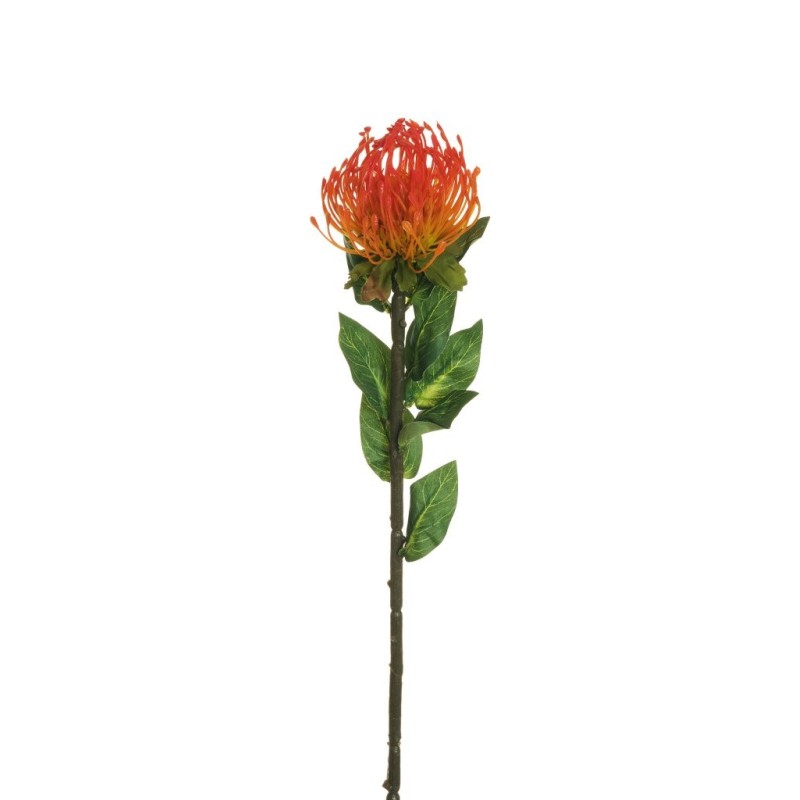 Lot de 24 - Tige artificielle de cordifolium X9, 72 cm - orange foncé jaune 
