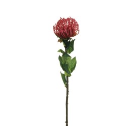 Lot de 24 - Tige artificielle de cordifolium X9, 72 cm - rouge fuchsia foncé 