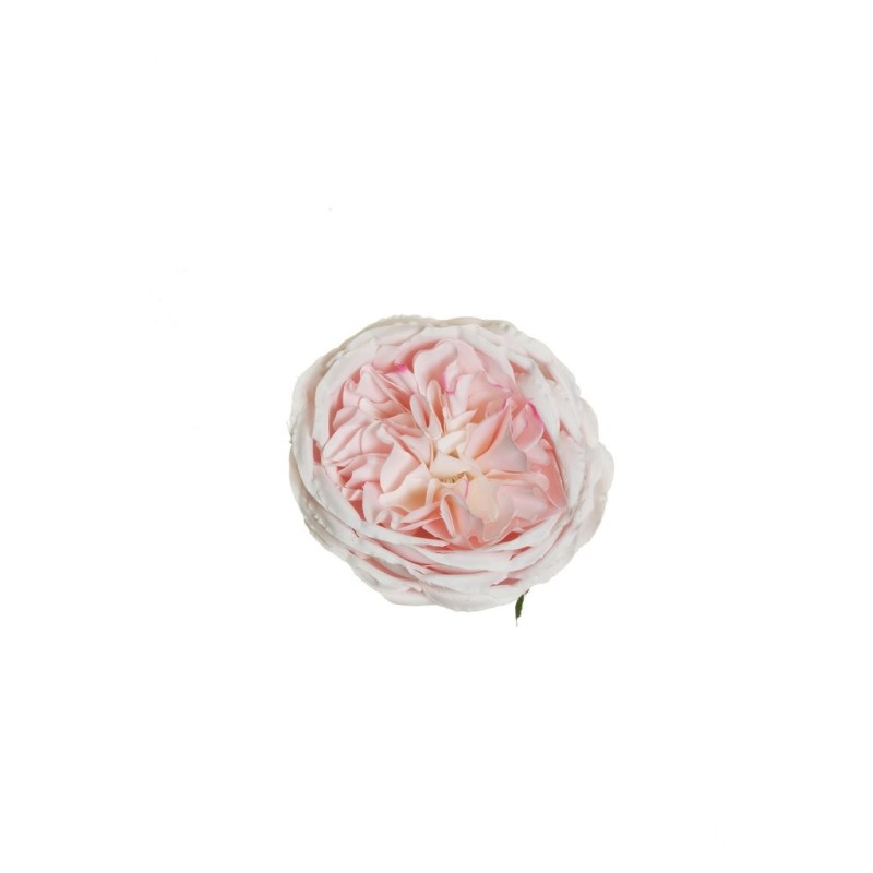 Lot de 384 - Tête artificielle de rose Austin, D. 10 cm - rose clair 