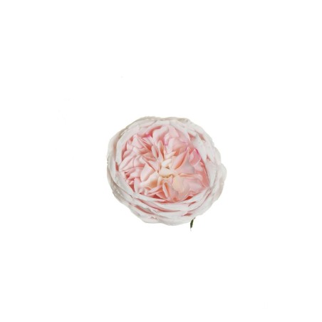 Lot de 384 - Tête artificielle de rose Austin, D. 10 cm - rose clair 