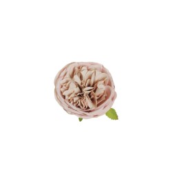 Lot de 384 - Tête artificielle de rose Austin, D. 10 cm - rose clair écru 
