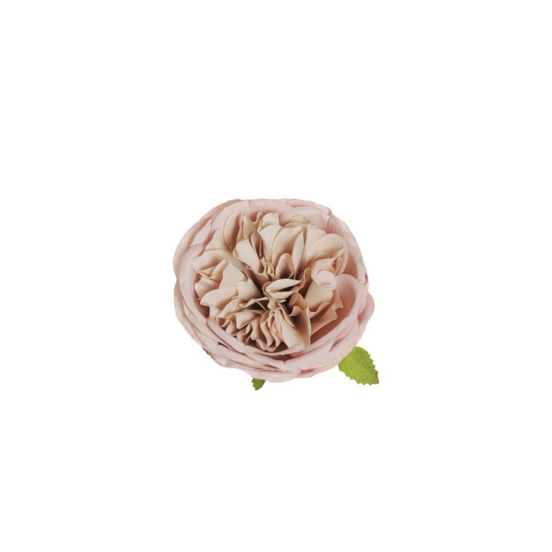 Lot de 384 - Tête artificielle de rose Austin, D. 10 cm - rose clair écru 