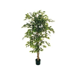 Lot de 4 - Plante artificielle de ficus benjamina en pot, 150 cm - panaché 