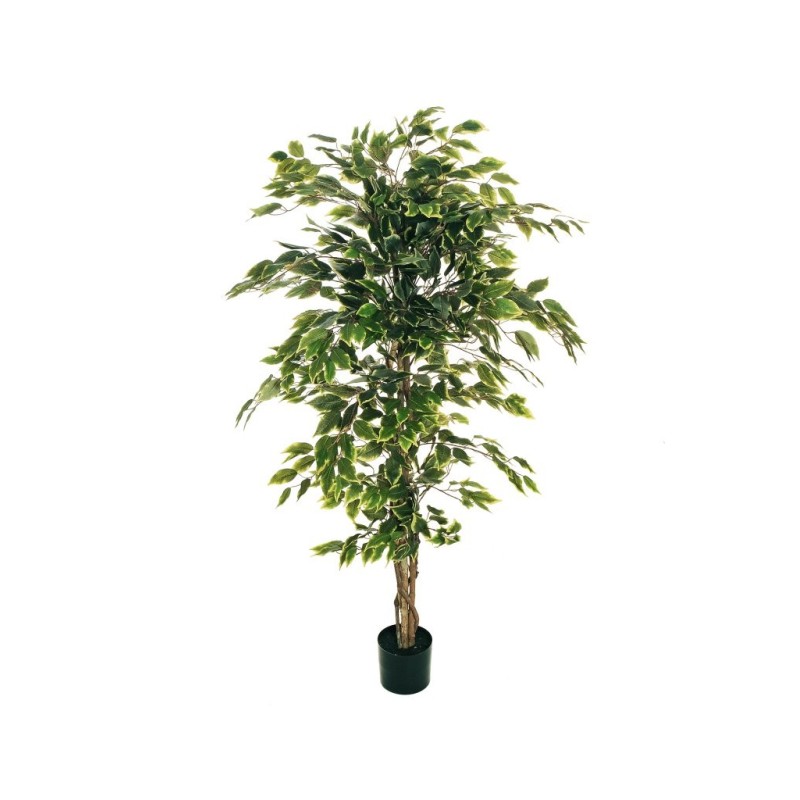 Lot de 4 - Plante artificielle de ficus benjamina en pot, 150 cm - panaché 