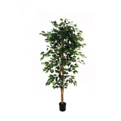 Lot de 4 - Plante artificielle de ficus benjamina en pot, 180 cm - vert 