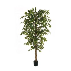 Lot de 4 - Plante artificielle de ficus benjamina en pot, 180 cm - panaché 