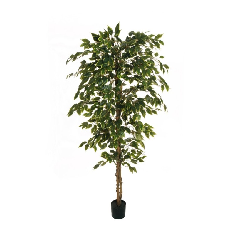 Lot de 4 - Plante artificielle de ficus benjamina en pot, 180 cm - panaché 