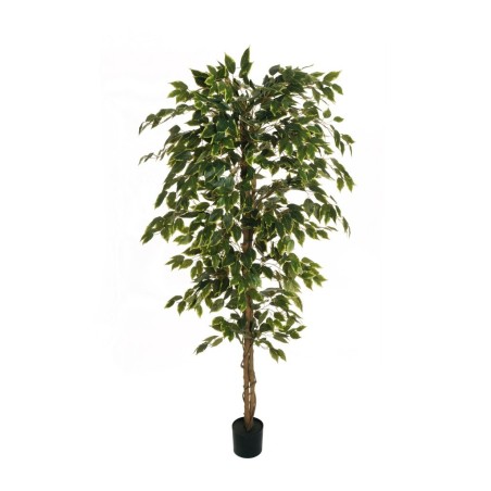 Lot de 4 - Plante artificielle de ficus benjamina en pot, 180 cm - panaché 