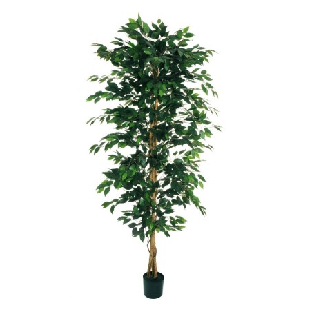 Lot de 4 - Plante artificielle de ficus benjamina en pot, 210 cm - vert 