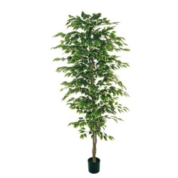 Lot de 4 - Plante artificielle de ficus benjamina en pot, 210 cm - panaché 