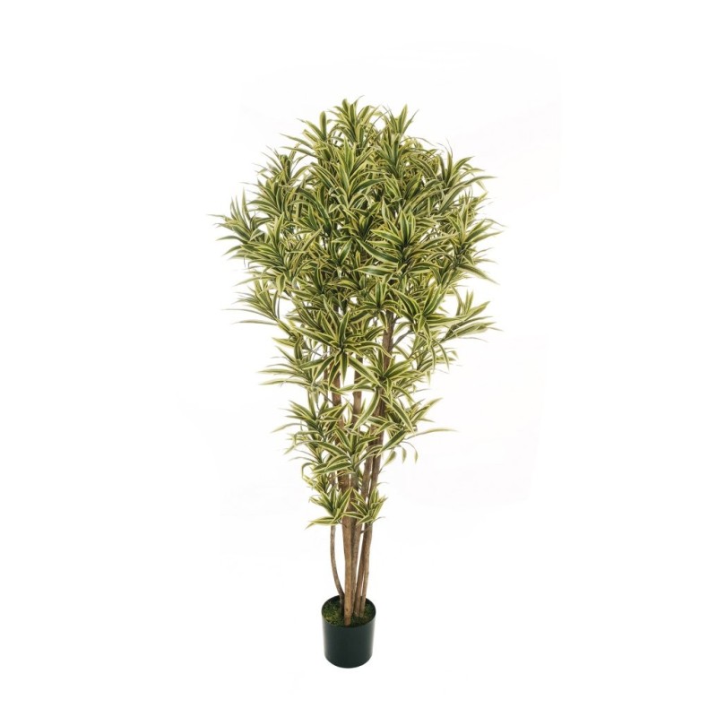 Lot de 2 - Plante artificielle de dracaena reflex en pot, 180 cm - panaché 