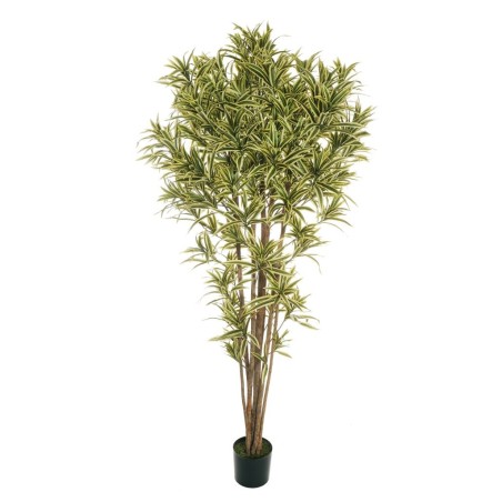 Lot de 2 - Plante artificielle de dracaena reflex en pot, 210 cm - panaché 