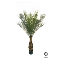 Lot de 2 - Palmier artificiel phoenix anti-UV en pot, 165 cm - vert 