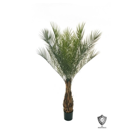 Lot de 2 - Palmier artificiel phoenix anti-UV en pot, 165 cm - vert 