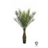 Lot de 2 - Palmier artificiel phoenix anti-UV en pot, 165 cm - vert 