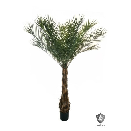 Lot de 2 - Palmier artificiel phoenix anti-UV en pot, 210 cm - vert 