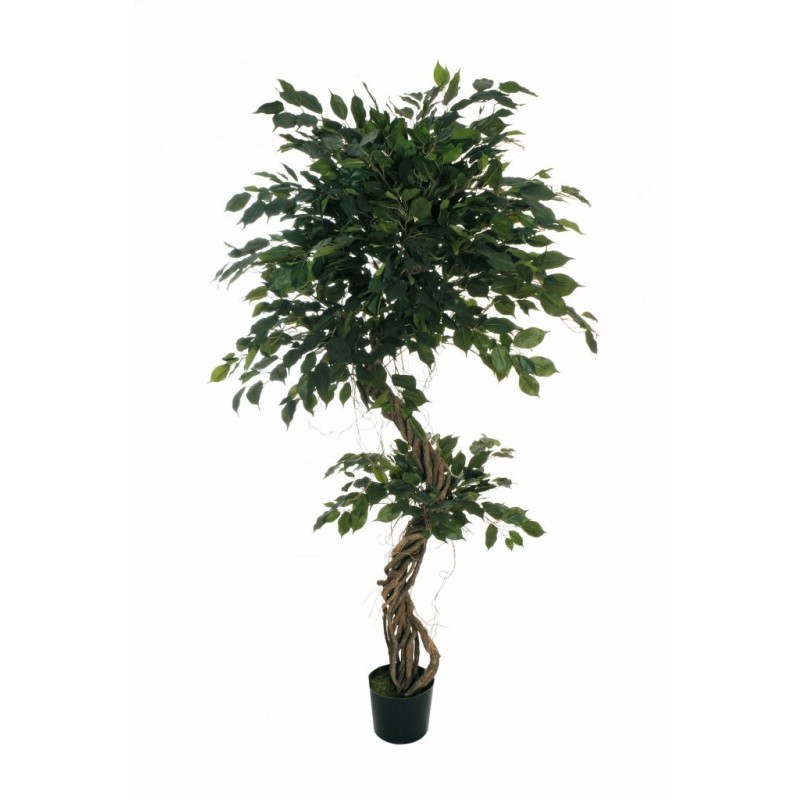 Lot de 2 - Plante artificielle de ficus benjamina multi-troncs spiralé en pot, 190 cm - vert 