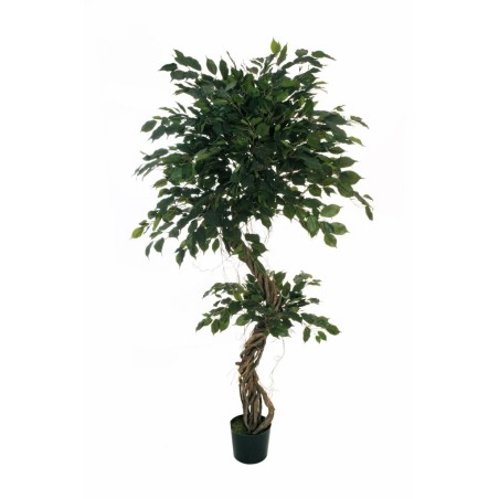 Lot de 2 - Plante artificielle de ficus benjamina multi-troncs spiralé en pot, 190 cm - vert 