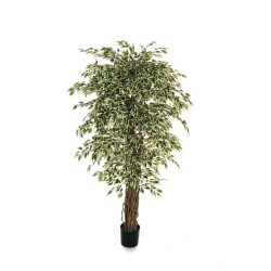 Lot de 2 - Plante artificielle de ficus benjamina multi-troncs en pot, 180 cm - panaché 