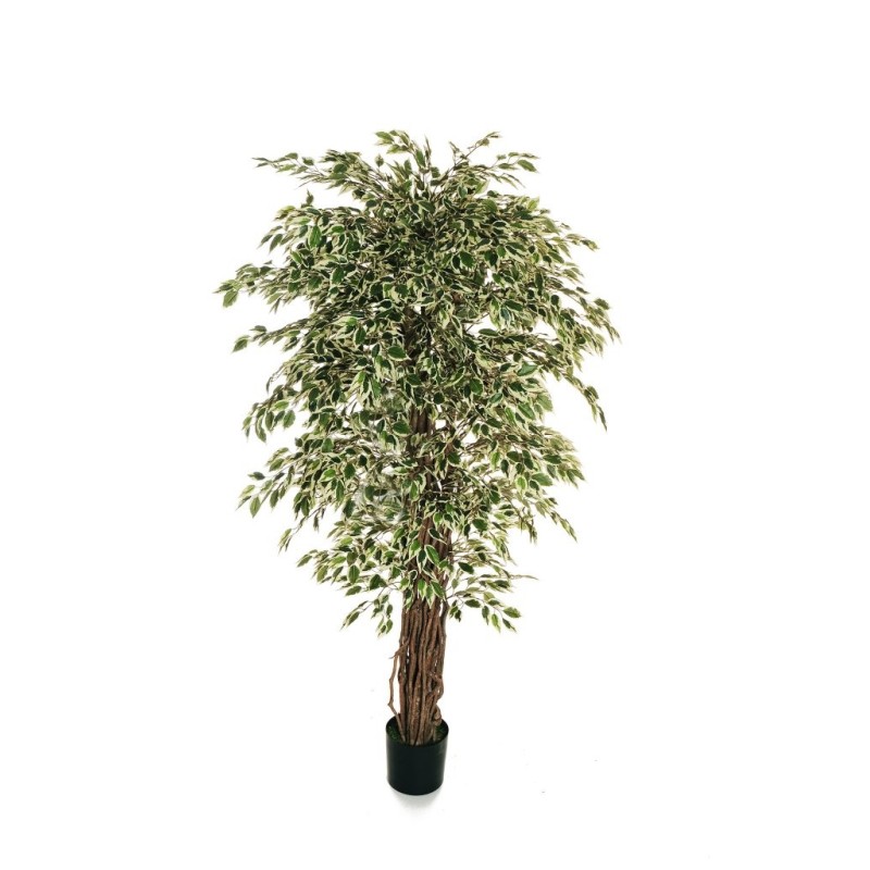Lot de 2 - Plante artificielle de ficus benjamina multi-troncs en pot, 180 cm - panaché 