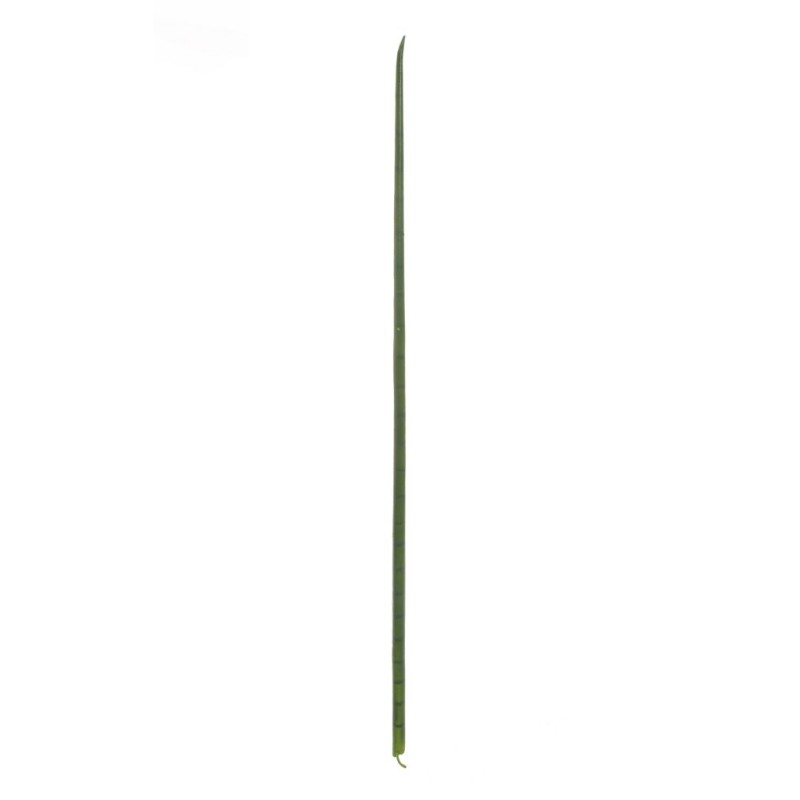 Lot de 24 - Grande feuille artificielle de sansevieria cylindrica, 168 cm - vert 