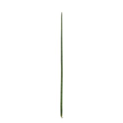 Lot de 30 - Feuille artificielle moyenne de sansevieria cylindrica, 156 cm - vert 