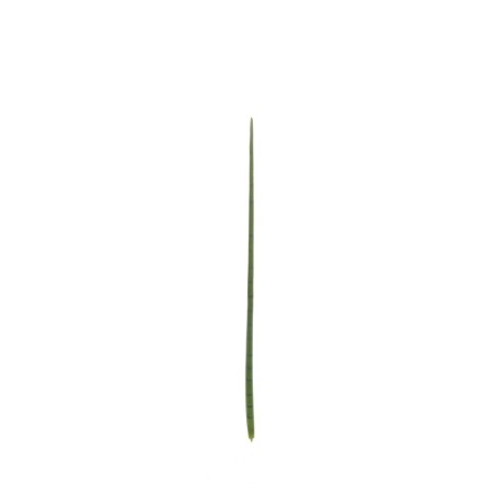 Lot de 32 - Petite feuille artificielle de sansevieria cylindrica, 132 cm - vert 