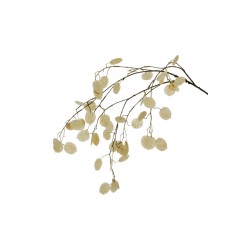 Lot de 12 - Longue tige artificielle de lunaire, 110 cm - blanc 