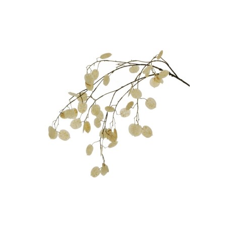 Lot de 12 - Longue tige artificielle de lunaire, 110 cm - blanc 