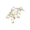 Lot de 12 - Longue tige artificielle de lunaire, 110 cm - blanc 