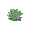 Lot de 12 - Grand echeveria artificiel, D. 26 cm - vert gris 