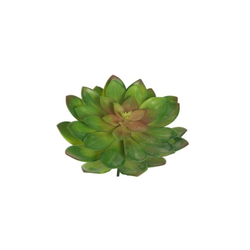 Lot de 12 - Grand echeveria artificiel, D. 26 cm - vert rose bordeaux 
