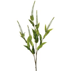 Lot de 24 - Tige artificielle de véronique X5, 72 cm - blanc 