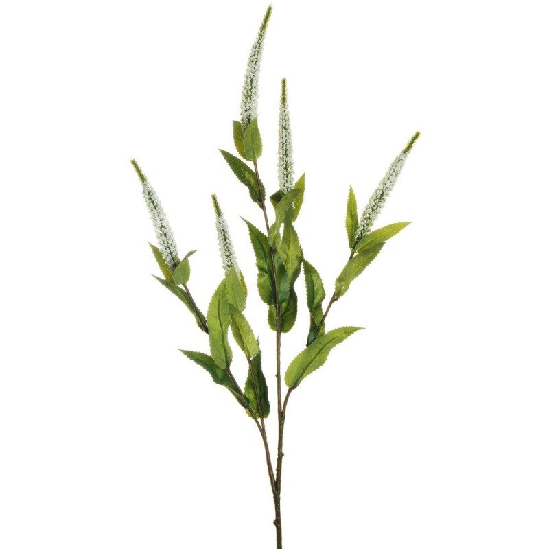 Lot de 24 - Tige artificielle de véronique X5, 72 cm - blanc 