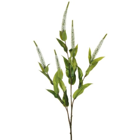 Lot de 24 - Tige artificielle de véronique X5, 72 cm - blanc 