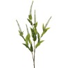 Lot de 24 - Tige artificielle de véronique X5, 72 cm - blanc 
