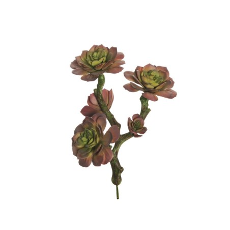 Lot de 6 - Branche artificielle d'aeonium, 30 cm - mauve vert 
